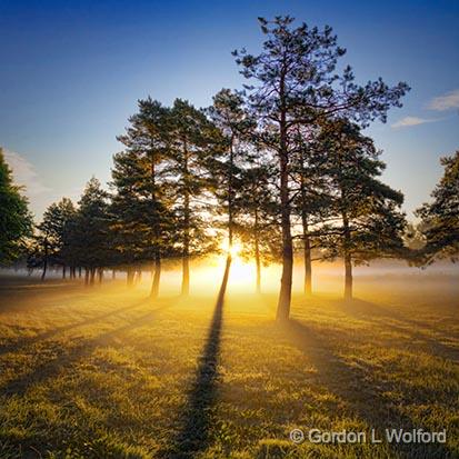 Sunrise Shadows_26012-3.jpg - Photographed near Smiths Falls, Ontario, Canada.